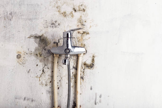 Best Mold Remediation for Specific Building Types in Brookneal, VA