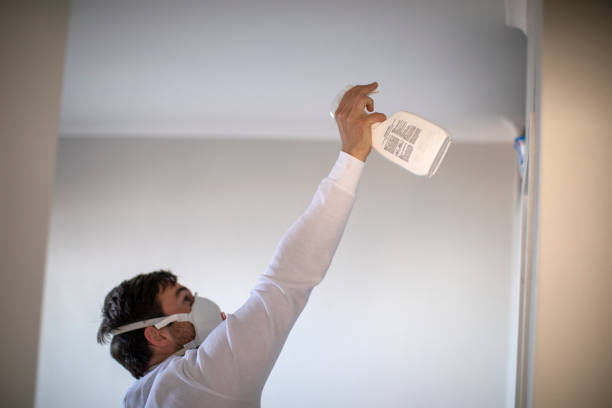 Trusted Brookneal, VA Mold Remediation Experts