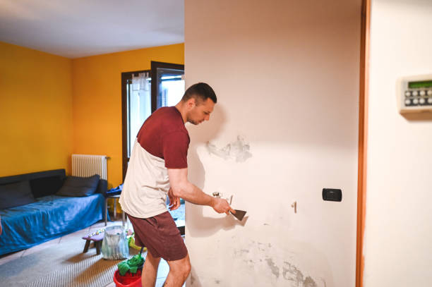 Best Black Mold Remediation in Brookneal, VA